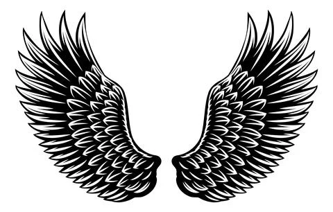 Angel Eagle Wings Feather Wing Set Illustration 스톡 일러스트