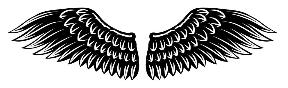 Angel Eagle Wings Feather Wing Set Illustration Ilustração Stock