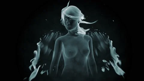 Angel Stock Footage 228626535