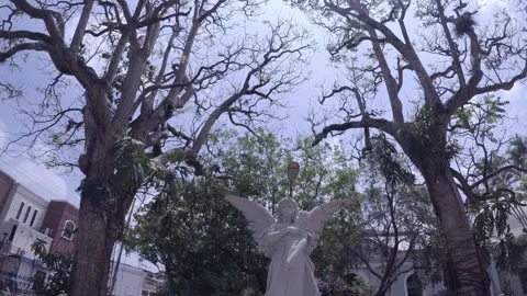 Angel Stock Footage 269740130