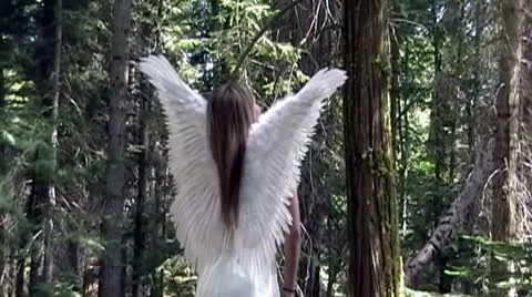 Angel In Forest Stock-Footage 9527771