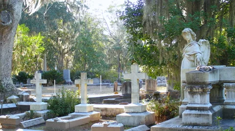 Angel in Graveyard Stock-Footage 44981688