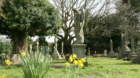 Angel headstone in a cemetery Stock Footage 36411295