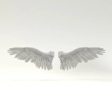 Angel or bird wings 3D Model
