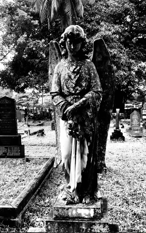 Angel over the grave 库存影片 249336862