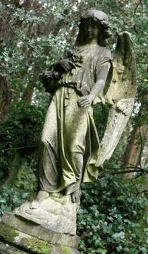 Angel Stock Photos