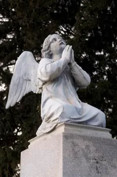 Angel Stock Photos