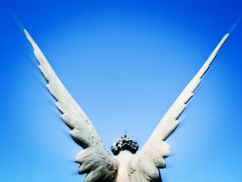 Angel  Stock Photos