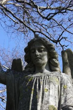 Angel Stock Photos