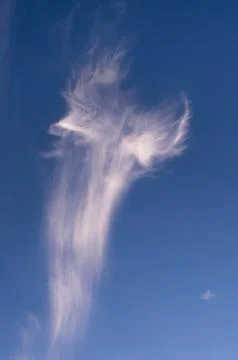 Angel shaped cloud. Stock Photos