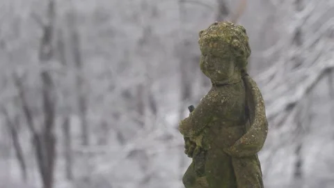 Angel in Snowy Forest Stock Footage 301572722