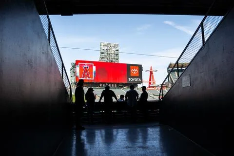 Angel Stadium Stock Photos