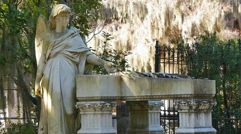 Angel Statue in Cemetery Stock-Footage 44981696