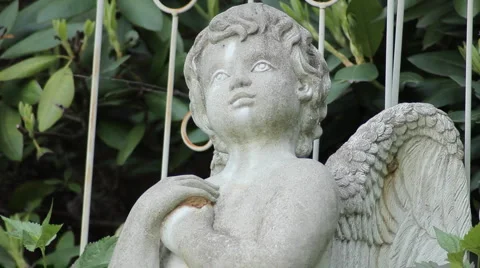 Angel Statue Video stock 1920907