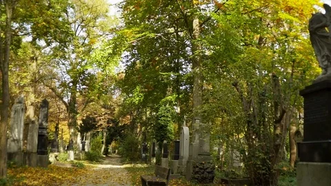 Angel statue without a head Stock Footage 87725264