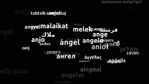 Angel Translated in 64 Worldwide Languages Endless Looping 3d Zooming Wordclo Video stock 145196433