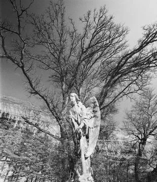 Angel Tree Foto stock