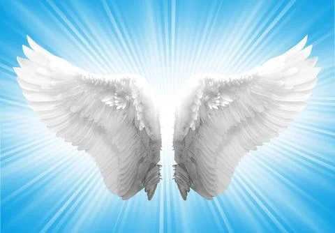 Angel wing isolated Stock Illustration