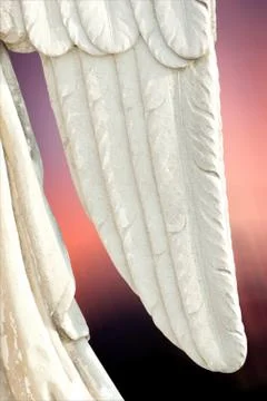 Angel wing Stock Photos