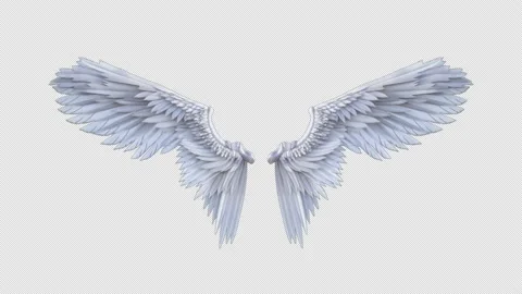 Angel wings - 3d render looped with alph... | Stock Video | Pond5