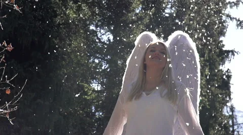 Angel Wings Beat Stock-Footage 44441257