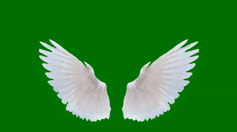 flapping angel wings gif