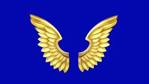 Angel Wings Stock-Footage 126707654