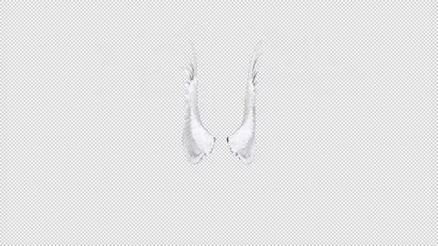 Angel Wings Stock Footage 165430073