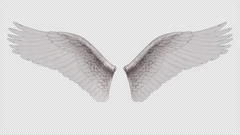 Angel Wings Stock Footage 165695968
