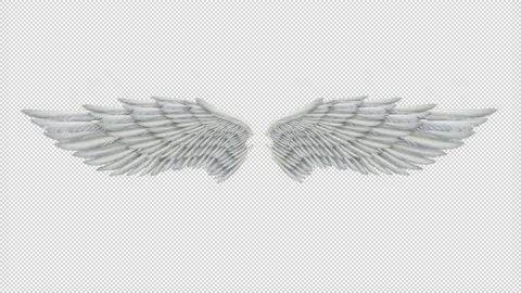 Angel Wings Stock Footage 165696105