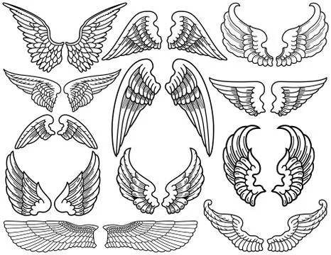 Angel wings Illustration