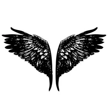Angel wings イラスト素材