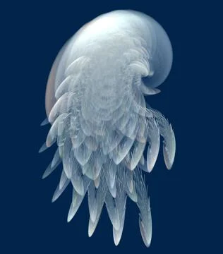 Angel Wings Stock Illustration