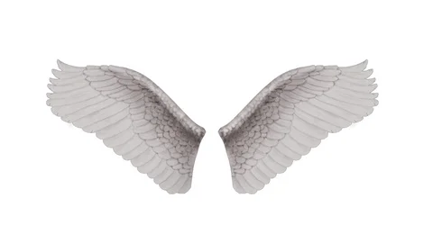 Angel Wings Transparent Images – Browse 9,252 Stock Photos, Vectors, and  Video