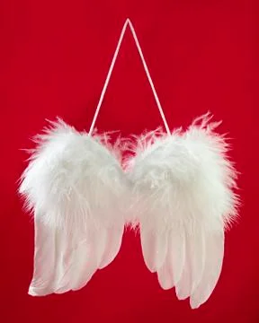 Angel Wings Stock Photos