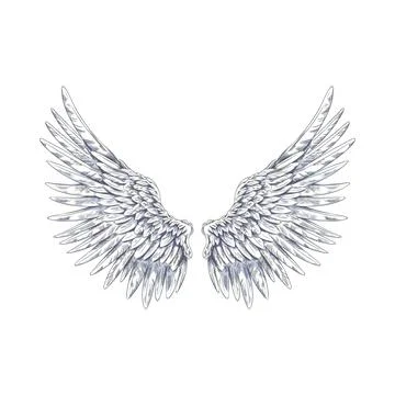 Angel wings sketch, vector hand drawn spread white wings, pair of heraldic wings Illustrazione stock