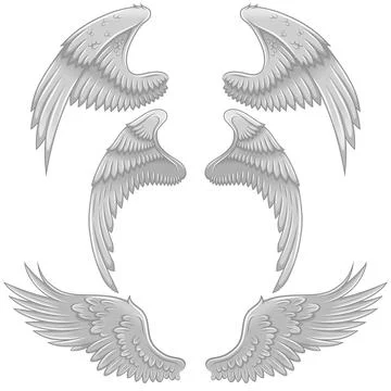 Angel wings vector design Stock Illustration