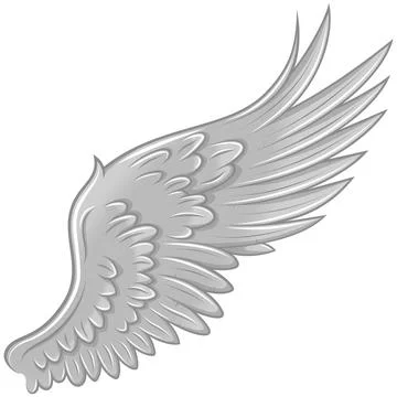 Angel wings vector design イラスト素材