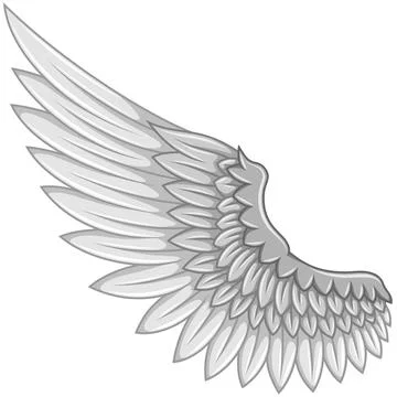 Angel wings vector design イラスト素材
