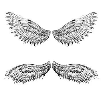 Angel wings, vector illustration Stock Illustration