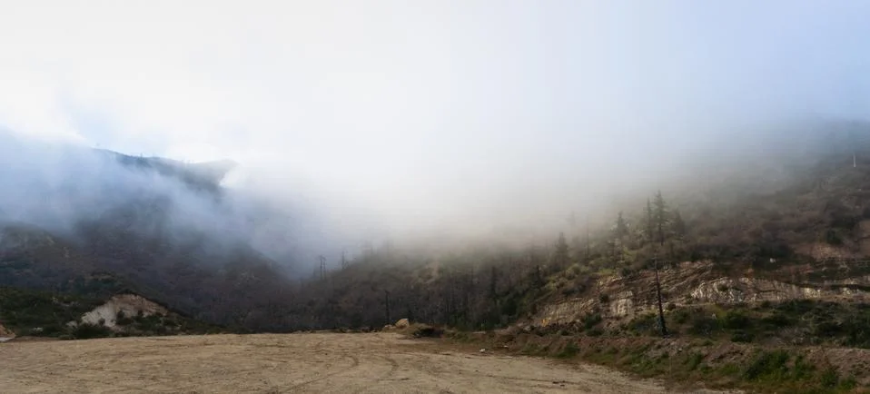 Angeles National Forest, CA on a Foggy Morning Stock Photos
