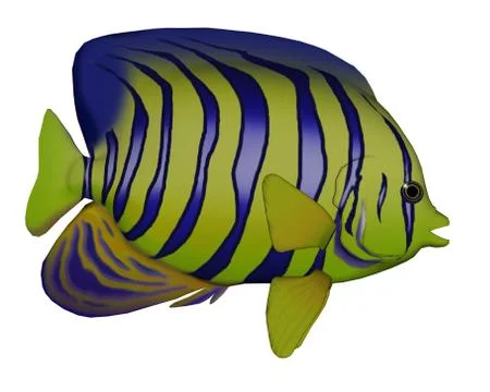 Angelfish - 3D render Stock Illustration