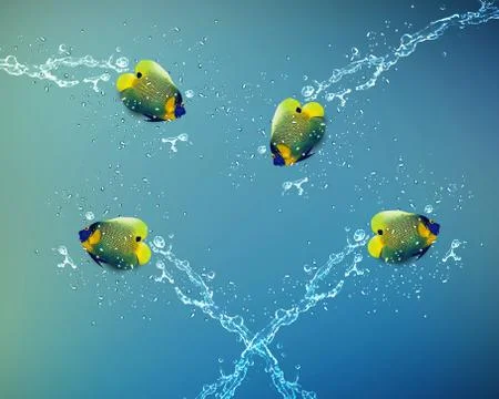 Angelfish jumping Stock Photos