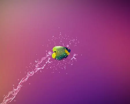 Angelfish jumping Stock Photos