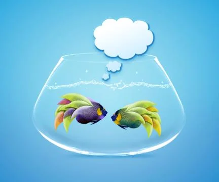 Angelfish with speech bubbles. Stock Photos