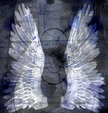 Angelic white wings Stock Illustration