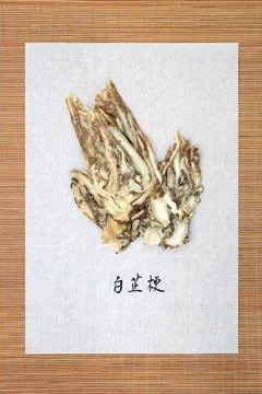 Angelica Root Stock Photos