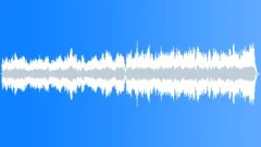 Angels We Have Heard On High (organ) Stock Music