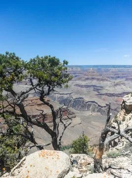 Angels Window Stock Photos