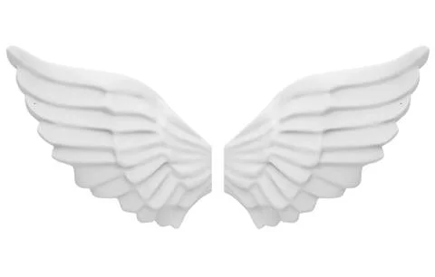The angel's wings Stock Illustration